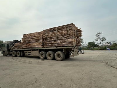 Tần bì Đức 2mm hàng nhập giá rẻ. Khách chốt hẳn xe to mới chịu cơ. K. lượng còn nhiều, khách cần alo em sớm a. Hotline: 0988045958/ 0909377209