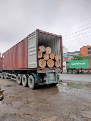 Thông Mỹ cập cảng ngày 10/04 tới. Giá hấp dẫn. Bác nào cần alo bên em nhé ạ: 0988045958