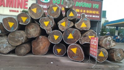 Lim Tròn Nam Phi Về Kho Bãi Long Dương
