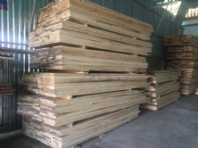 Gỗ Xẻ Nhập Nguyên Kiện Và Xẻ Sấy Trong Nước