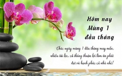 Chúc cả nhà tháng mới nhiều may mắn. Bên em vẫn cung cấp đều, đủ các loại gỗ tự nhiên nha cả nhà. Hotline phục vụ 24/7: 0988045958/ 0909377209