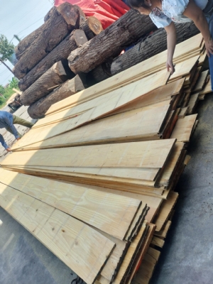 Thông Mỹ vừa ra lò. Vàng ươm các bác ạ. Liên hệ đặt hàng sớm để được giá tốt nha các bác. Hotline: 0988045958/ 0909377209