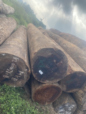 MKB VỪA VỀ KHO BÃI LONG DƯƠNG. GỖ ĐẸP GIÁ RẺ. KÍNH MỜI CÁC THƯỢNG ĐÊ. LH HOTLINE: 0909377209 / 0988045958