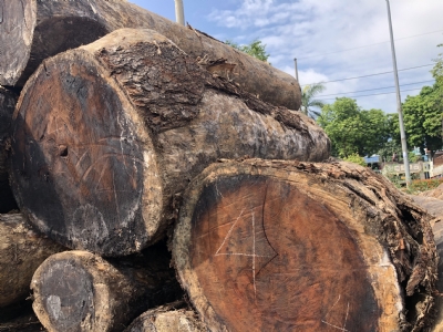 Me Tây Ecuador chất đẹp, lên đồ cực sang. Giá rẻ. Liên hệ hotline để lên đơn các bác nhé: 0909377209/ 0988045958