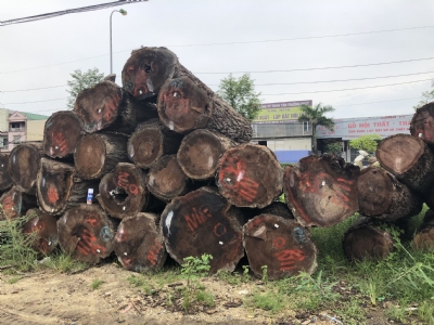 Óc chó Bắc Mỹ hàng 2SC; 3SC; 4SC. Giá tốt. Liên hệ hotline: 0909377209/ 0988045958
