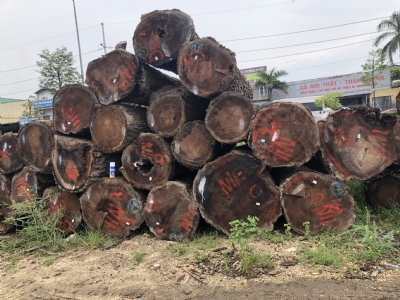 Óc chó tròn, óc chó tấm nhập nguyên kiện, óc chó xẻ trong nước kho Long Dương luôn sẵn để phục vụ quý khách