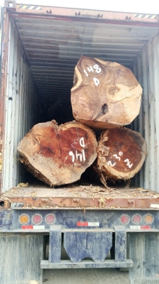 Me tây kính to, chuẩn bị vào cảng. Khách cần alo bên em sớm ạ. Lh hotline: 0988045958/0909377209