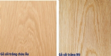 Sự Khác Nhau Giữa Sồi Mỹ Và Sồi Châu Âu
