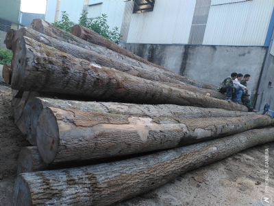 Tần Bì Đức Về Khách Rất Ưng Í. Bấm Máy Liền Tay Có Ngay Hàng Đẹp.