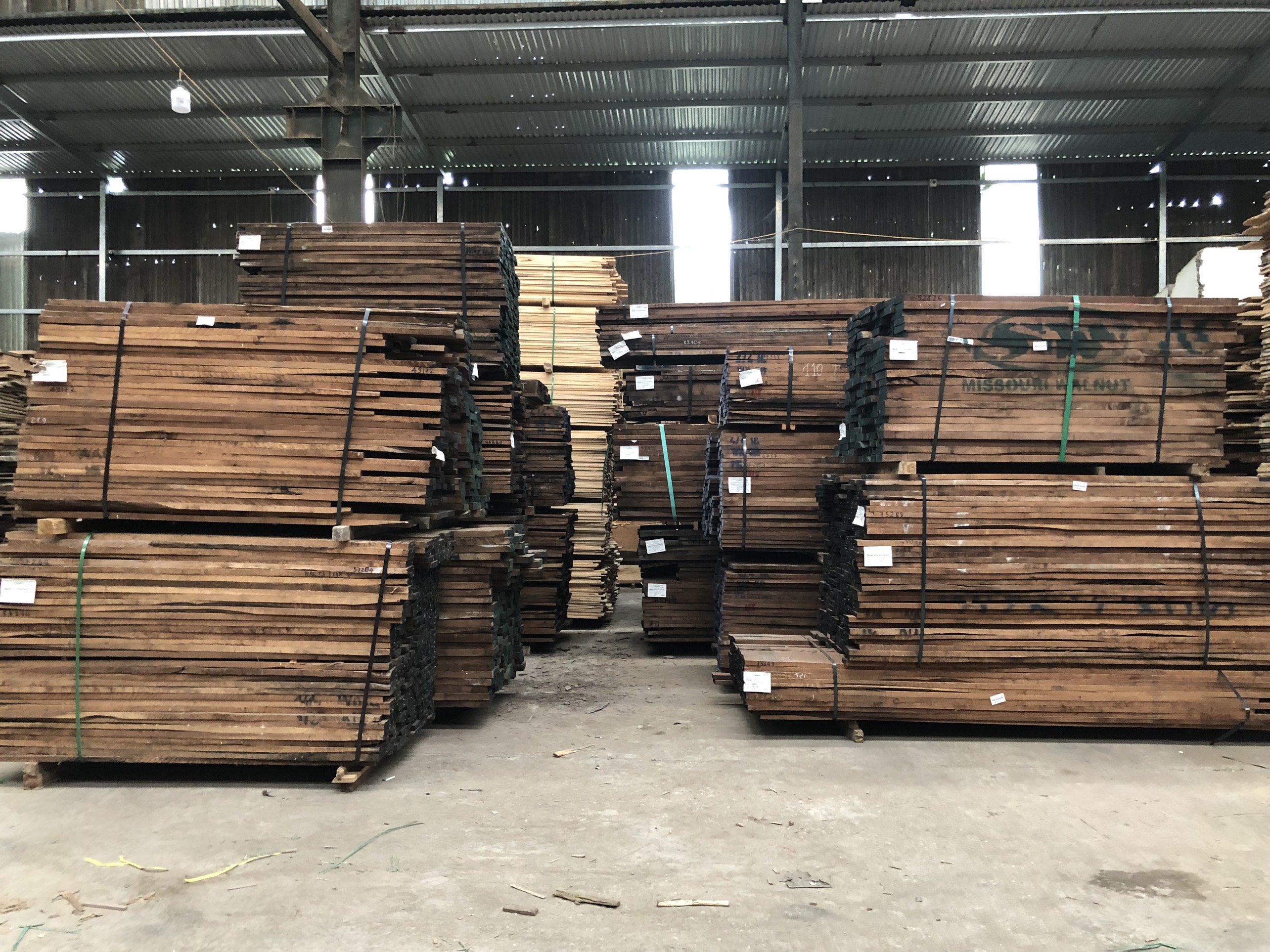 Óc Chó 1COM Hàng 6/4 & 4/4 Đã Về Kho Long Dương
