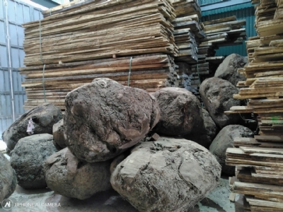 Nu óc chó, mặt bàn nu, hàng hiếm, độc lạ có bác nào vào việc không ạ? Liên hệ sớm để được giá ưu đãi nha các bác. Hotline: 0909377209/ 0988045958