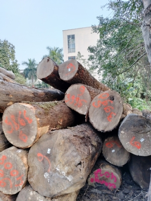 Pháp ABC về trả khách ạ. LH: 0909377209/ 0988045958
