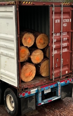 Thông Mỹ chuẩn bị về cảng Hải Phòng. Có bác nào cần không ạ? Alo em nhé: 0909377209 / 0988045958