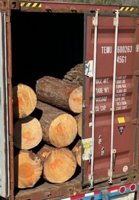 Muốn mua Gỗ thông Mỹ đẹp, giá rẻ ở đâu? Đến với Gỗ NK Long Dương. Chúng tôi sẽ giải đáp mọi thắc mắc cho bạn. Liên hệ hotline: 0909377209/ 0988045958