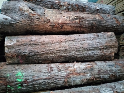 Gỗ Sồi Mỹ đỏ chất lượng 3SC+ mới về kho Gỗ NK Long Dương. Hàng đẹp, giá hợp lý. Bóc veneer quá ok ạ. Bác nào vào việc alo bên em sớm để được giá tốt nhé. Hotline: 0909377209/ 0988045958