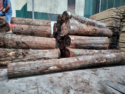 Còn ít gỗ Sồi tròn bên em thanh lý nốt giá rẻ. Bác nào cần qua múc nốt giúp ạ. Lh: 0909377209/ 0988045958