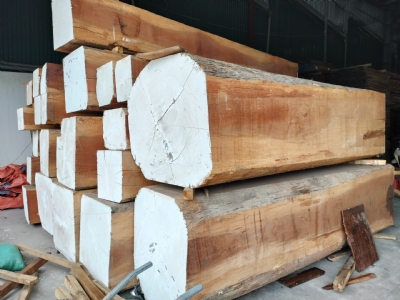 Muốn mua gỗ gõ JATOBA giá rẻ thì mua ở đâu?