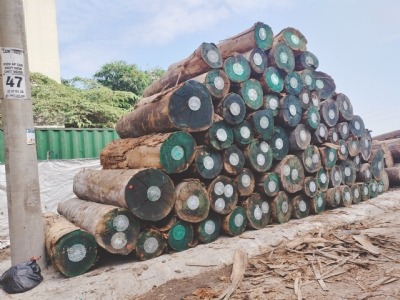 Các bác đang băn khoăn: Làm gỗ gì giá RẺ mà chất lượng lại vẫn phải OK, thì đến kho em mua gỗ BẠCH ĐÀN nhé. Chất đẹp, giá cả thì khỏi bàn( quá rẻ). Nhìn hàng xẻ ra là biết ngay chất ntn rồi ạ.