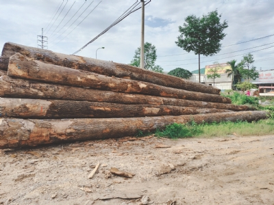 Pháp AB vừa về. Kính mời quý khách ạ. Lh: 0988045958/ 0909377209