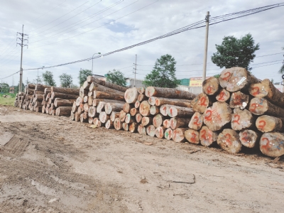 Đủ các loại gỗ tại kho. Khách cần loại nào alô Hotline bên em phục vụ 24/7 nhé ạ: 0988045958/ 0909377209
