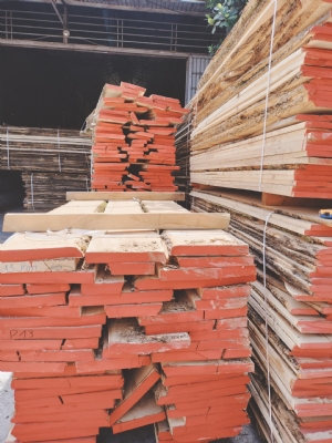 Tần bì nhập nguyên kiện, tần bì xẻ trong nước bên em vẫn cung cấp đều và đủ ạ. Hàng dày từ 1.5p đến 10p. Kính mời quý khách. Liên hệ hotline để được hỗ trợ tư vấn ạ: 0988045958/0909377209