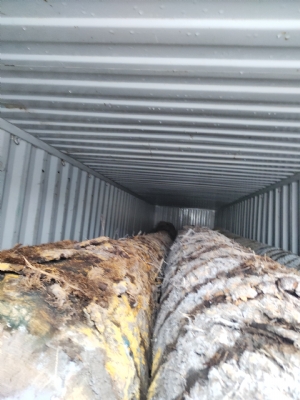Em còn 1 cont tần bì Đức kính 59. Giá rẻ. Hàng kéo luôn. Bác nào vào việc alo em nhé: 0988045958/0909377209