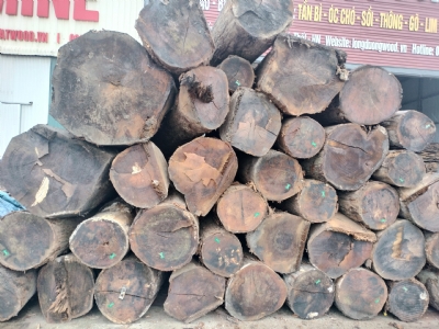 Sồi Mỹ tròn về thêm phục vụ khách hàng. Chất lượng 4SC. Giá tốt.  Kính mời quý khách ạ. Lh hotline: 0988045958/ 0909377209