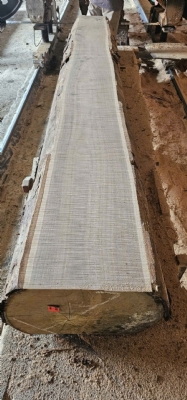 Siêu phẩm Bạch đàn Brazil, giá tiểu học, có thể thay thế một số loại gỗ đắt tiền khác. Các bác thử mà xem, khéo lại mê đấy. Hotline tư vấn, chốt đơn: 0909377209/ 0988045958