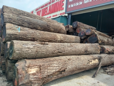 Óc chó tròn, óc chó xẻ bên em có đủ ạ. Giá rẻ. Kính mời quý khách alo để lên đơn ạ. Lh: 0988045958/0909377209