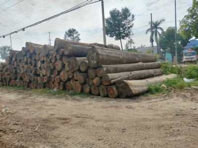 Gỗ đẹp. Giá chợ Nủa. Bác nào chưa biết gỗ gì? Chưa biết chợ Nủa  thì alo bên em luôn để biết nhé ạ. Hotline: 0988045958/0909377209